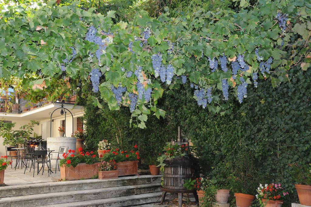 Casa Lemmi Guest House San Quirico d'Orcia Luaran gambar