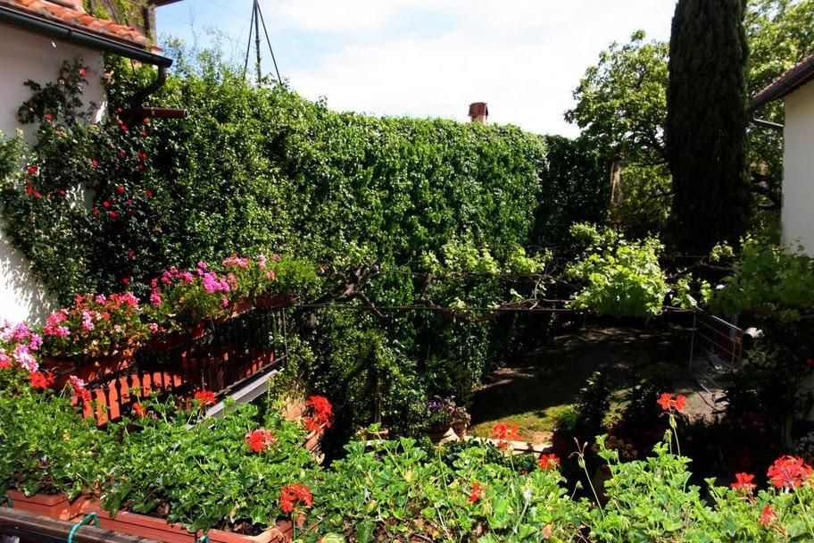 Casa Lemmi Guest House San Quirico d'Orcia Luaran gambar